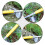 Stainless Steel Weeding Fork Root Removal Tool with Ergonomic Handle for Deep Root Gardening 4