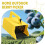 Berry Picker with Comb for Fast Berry Harvesting, Ergonomic Comfortable Grip, Durable Plastic Tool 3