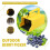 Berry Picker with Comb for Fast Berry Harvesting, Ergonomic Comfortable Grip, Durable Plastic Tool 4