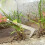 Weeding Tool Stainless Steel Manual Weed Puller for Deep Root Removal with LShaped Blade and Leverage Action 2