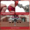 Countersink Drill Set, Countersink Wood Drill with Adjustable Depth Stop, Countersink Drill with 1/4 Inch Hex Shank 3
