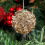 Teal Sequin Christmas Tree Ornament 80mm Foam with Pearls 4
