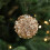 Teal Sequin Christmas Tree Ornament 80mm Foam with Pearls 7