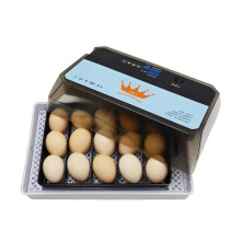 Automatic Egg Incubator 12Egg Capacity for Chickens Ducks Geese, Compact Durable Design for Home Use