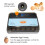 Automatic Egg Incubator 12Egg Capacity for Chickens Ducks Geese, Compact Durable Design for Home Use 2