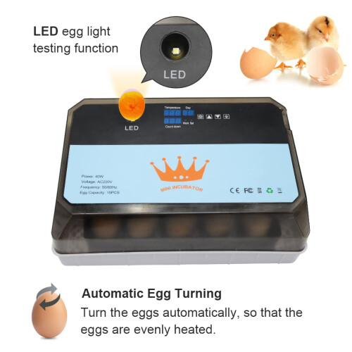 Automatic Egg Incubator 12Egg Capacity for Chickens Ducks Geese, Compact Durable Design for Home Use 1