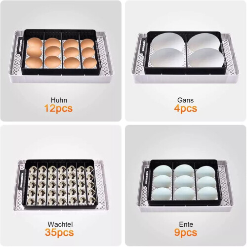 Automatic Egg Incubator for 12 Eggs with Digital LED Display and Automatic Temperature Control 2