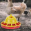 2pcs Automatic Chicken Feeder and Water Dispenser Set for Small Chickens Outdoor Easy Refill System 2