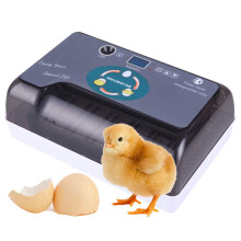 Automatic Egg Incubator 12 Eggs with Adjustable Tray Fully Automatic Small Poultry Hatcher US Plug