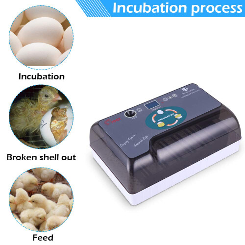 Automatic Egg Incubator 12 Eggs with Adjustable Tray Fully Automatic Small Poultry Hatcher US Plug 1