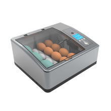 6 Egg Incubator Automatic Hatcher for Chicken Quail Duck with Compact Storage and Stable Placement