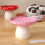 Moule à champignons en Silicone, conception détaillée, pied 6