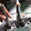 2Set Engine Overhead Valve Spring Remover for Motorcycle Spring Compressor Motorcycle Accessories 3