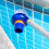 Pool Vacuum Brush with Fine Bristles for Spa Steps and Corners, Compact Design for Multi‑Surface Cleaning 3