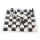 Portable Black & White Chess Set with Board, 25.2x24.7cm 16