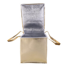 Insulated Cooler Bag with Thermal Insulation Core, Waterproof Easy Clean Gold Tote for Picnic and Food Storage