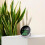Draagbare Kooldioxidedetector Luchtkwaliteitstester CO2-Meter Thermometer Hygrometer Detector 5
