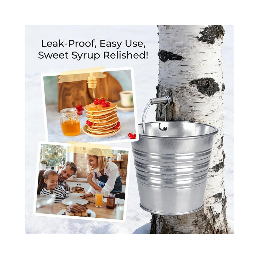 Stainless Steel Maple Syrup Tapping Kit 6 Maple Tree Taps Spiles With Hooks Compatible With Maple Birch Walnut Trees 4711503411069
