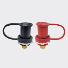 4x 250A 12V Batterijlader Paalbout Externe Batterijterminals met Dop M10 Batterij-Springpaal voor Auto Vrachtwagen Boot ATV