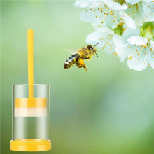 Queen Bee Markeerset, 2 Queen Markeerkooibuizen met 3 Bijenmarkeerpennen voor Imkergereedschap