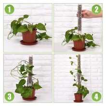 6Pcs Poteau de Mousse en Plastique 15 Pouces Poteau de Maille de Mousse Transparente Petit Piquet de Poteau de Mousse pour Plantes Plantes en Pot