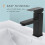 Rubinetto per Lavabo da Bagno, Rubinetto per Lavabo con Acqua Calda e Fredda, Nero Opaco Ma 6