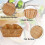24 Pack Plastic Oval Basket, Empty Bread Basket Food Storage Basket Bulk,Plastic Wicker Baskets Bin for Kitchen Serving 5