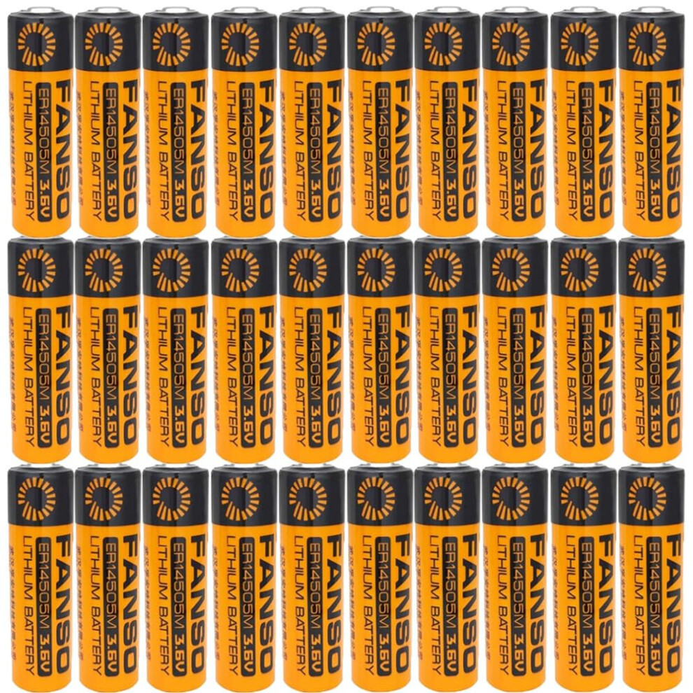 Er14505m Aa 3.6V Lithium Battery 2200Mah Nonrechargeable For Industrial Sensors, 30 Pack 9771547398110