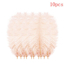 Floating Plume Feathers Natural Multicolor 10-Pack 20-25cm
