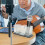 Acryl Microfoonhouder Desktop Mic Stand 2-Slot Zwarte Basis 7