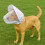 Adjustable Pet Headgear Breathable Net Dog Mask-Black L 4