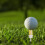 Long Distance Golf Tees 70mm Low Friction 13