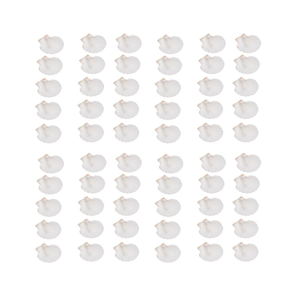 60 Pcs Natural Sea Shell Large White, 4-4.7 Inch Scallop Shells For Diy Serving Food, Baking And More 6032475638161