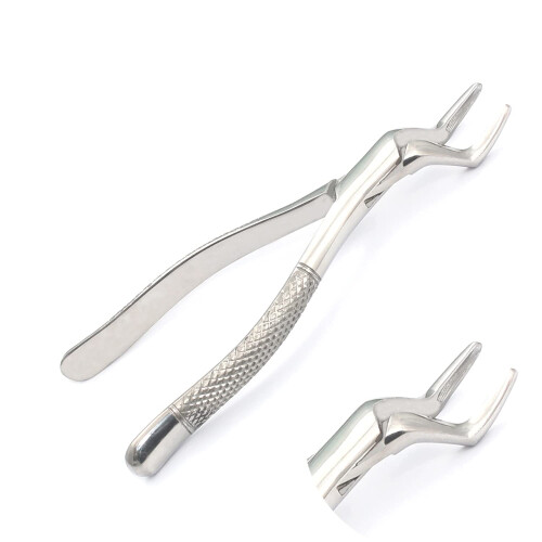 Dental Extraction Forceps #65 with Precise Tooth Grip and Ergonomic Handle for Dentists
