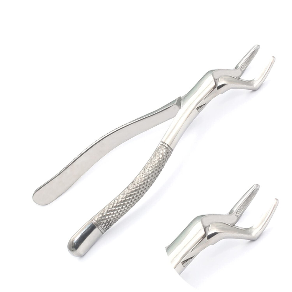 Dental Extraction Forceps #65 with Precise Tooth Grip and Ergonomic Handle for Dentists