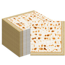 40 Pcs Passover Napkins 13x13 Inch Matzo Pattern DoubleLayered Disposable for Seder Table Decor