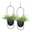 Pacote de 4 Vasos Suspensos para Plantas Internas e Externas com Suporte para Vasos Suspensos de 6 Polegadas, Suporte para Plantas 2