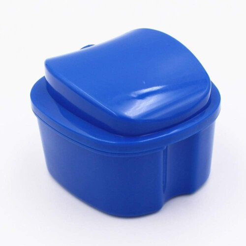 Denture Box, Denture Storage Box Case Cleaning Dental False Teeth Mesh Organizer Container Dark Blue 1