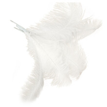 40 Pcs Natural Ostrich Feathers Wedding Party Decoration White 45-50cm