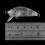 20 Stück Angelköder Körper 5cm 2.7G Unlackierte Crankbait Vib Minnow Wobbler Hard Bait Blank Köder 6