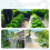 2 Gallon Battery Powered Garden Sprayer with USB Rechargeable Handle, Retractable Wand, Adjustable Strap 3