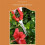 Garden Pruning Shears Potted Branches Scissors Fruit Picking Small Scissors Household Hand Tools 3