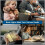 Light Reading Clip Book Light Rechargeable Clip Bookmark Book Light LED Reading Light Portable Bedside Table Lamp,C 6