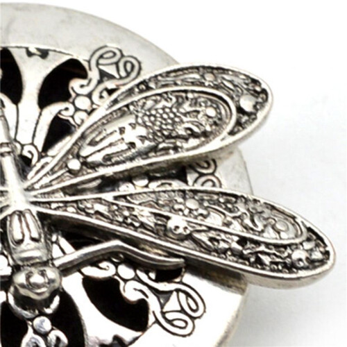 5 PC Argent Ancien Aromathérapie Libellule Collier Pendentif Diffuseur 2