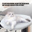 Cats Desk Bed Perch Bed Hammock for Small Cats Easy Setup Office 2