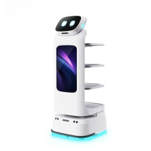 Food Delivery Robot with Smart Navigation and Obstacle Avoidance for Restaurant and Pizza