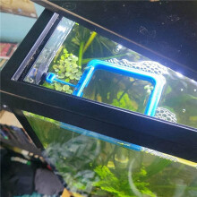 6X Fish Feeding Ring Floating Food Feeder Circle with Suction Cup Easy to Install Aquarium