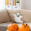 Halloween ghost plush pillow ultra-soft 4 inch 4