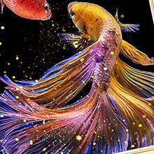2X 5D DIY Full Drill Diamond Painting Kits Round Crystal Rhinestone Embroidery Stitch for Adults Diamond Arts
