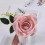 Attaches de rideaux avec boucles décoratives en forme de rose 8